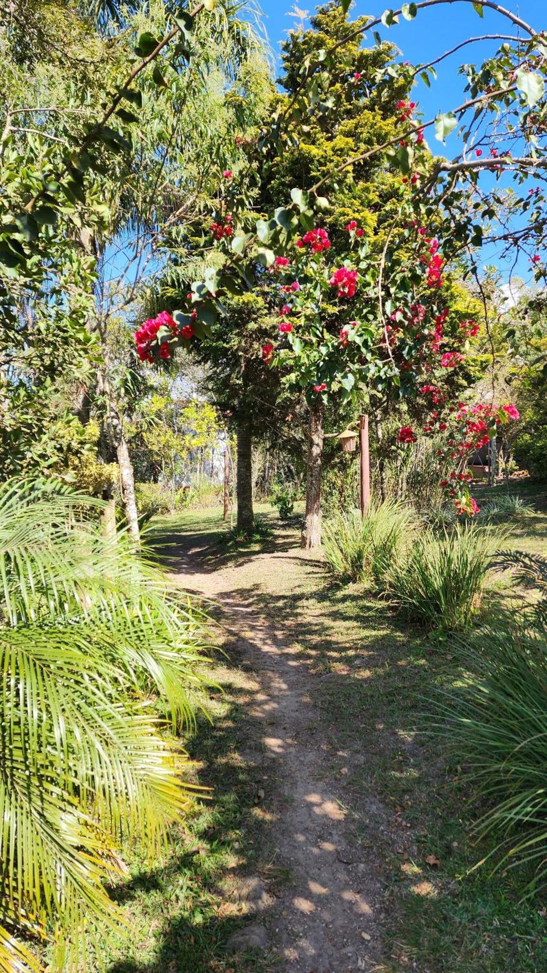 Pousada Kokopelli Lavras Novas Bagian luar foto